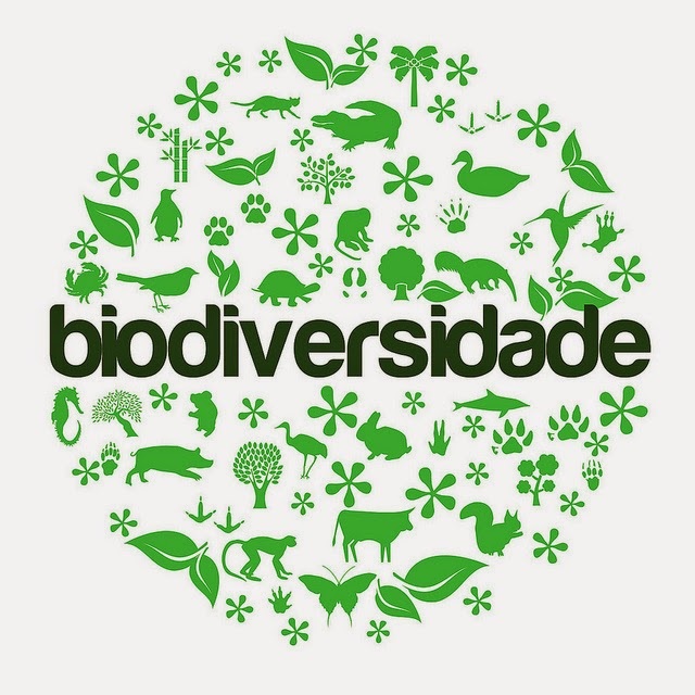 O QUE É BIODIVERDADE?
