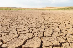 Desertificação