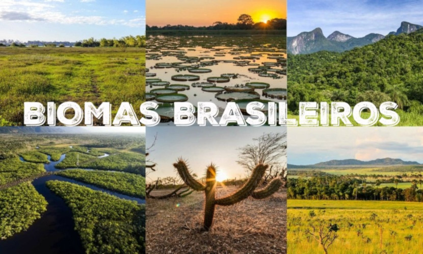 Biomas Brasileiros