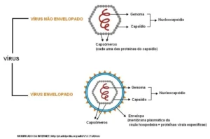 Estrutura dos <yoastmark class=