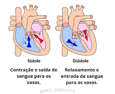 Sístole e diástole